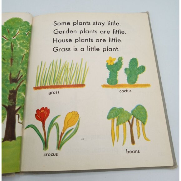 True Book Of Plants We Know O. Irene Sevrey Miner 1953 Hardcover Children Book - Picture 11 of 16
